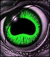 Galleria - 1022.gif