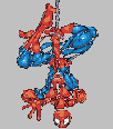 Galleria - anim2o.gif