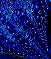 Galleria - kiss164.gif
