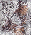 Galleria - kiss185.gif
