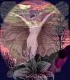 Galleria - kiss190.gif