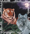 Galleria - kiss201.gif