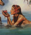 Galleria - kiss240.gif