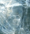 Galleria - kiss252.gif
