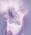 Galleria - kiss318.gif