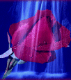 Galleria - 2rosewaterfall.gif