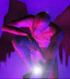 Galleria - 2sddlp2.gif