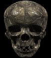 Galleria - 2skull12.gif