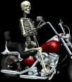 Galleria - 2skullbike.gif