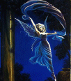 Galleria - 2stardan2.gif