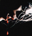 Galleria - 2sxvamp.gif