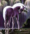 Galleria - 2uni030.gif
