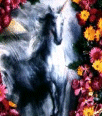 Galleria - 2uni067.gif