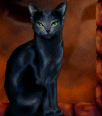 Galleria - 2wisdom.gif