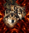 Galleria - 52.gif