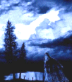 Galleria - 93.gif
